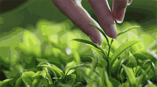 15.gif 15.gif