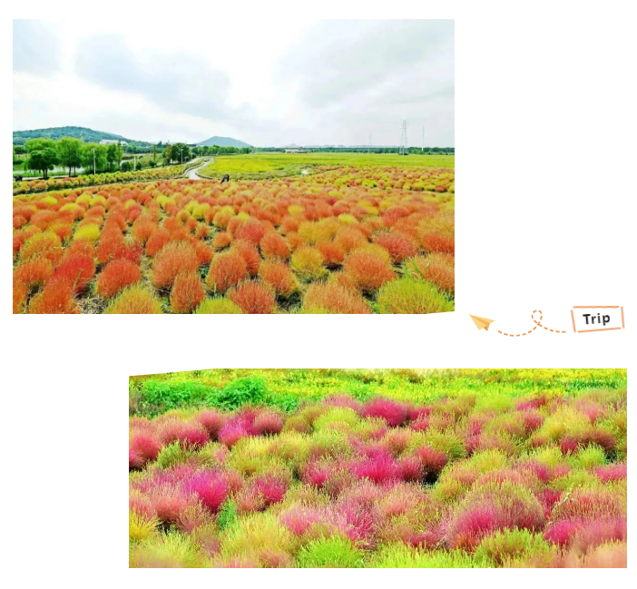 image.png image.png